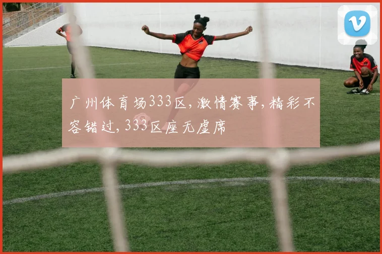 广州体育场333区,激情赛事,精彩不容错过,333区座无虚席